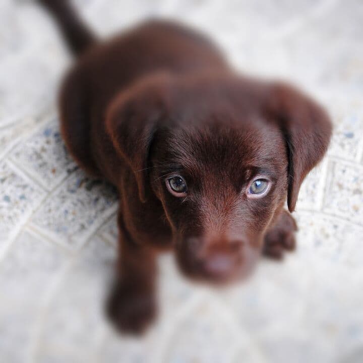 Tilt-shift